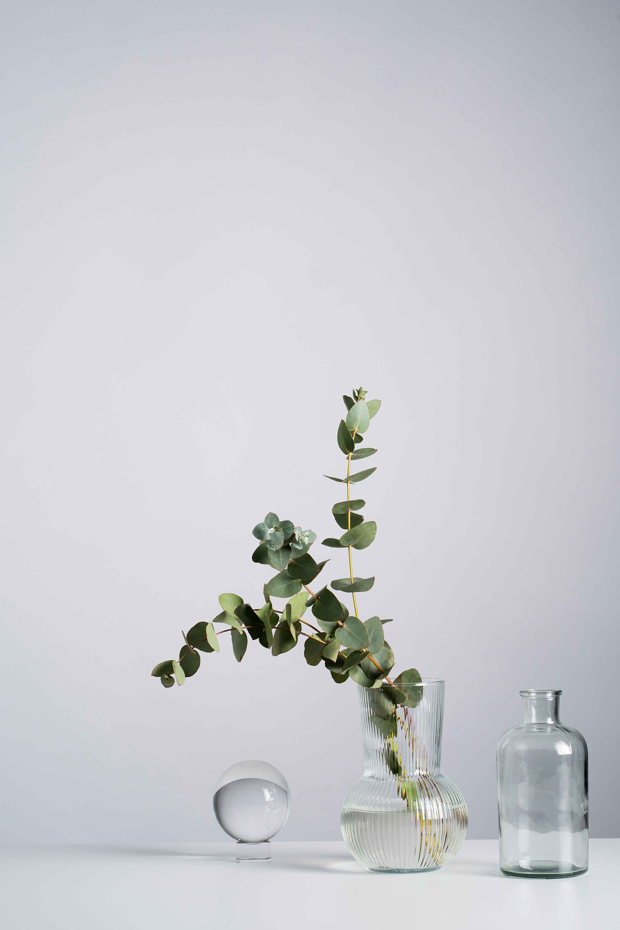 Praxis Kittsee Kontaktinformationen